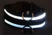 SAFETY LED Dog Pet Light Up Collar Night Glow Adjustable Bright 5 Color Leash - Second Medium