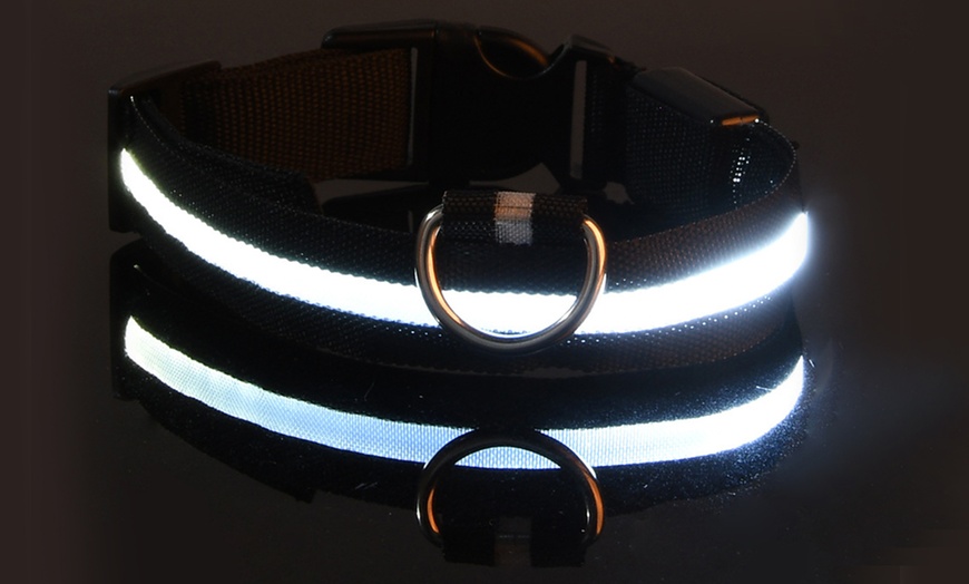 Image 4: SAFETY LED Dog Pet Light Up Collar Night Glow Adjustable Bright 5 Color Leash