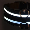 Image 4: SAFETY LED Dog Pet Light Up Collar Night Glow Adjustable Bright 5 Color Leash