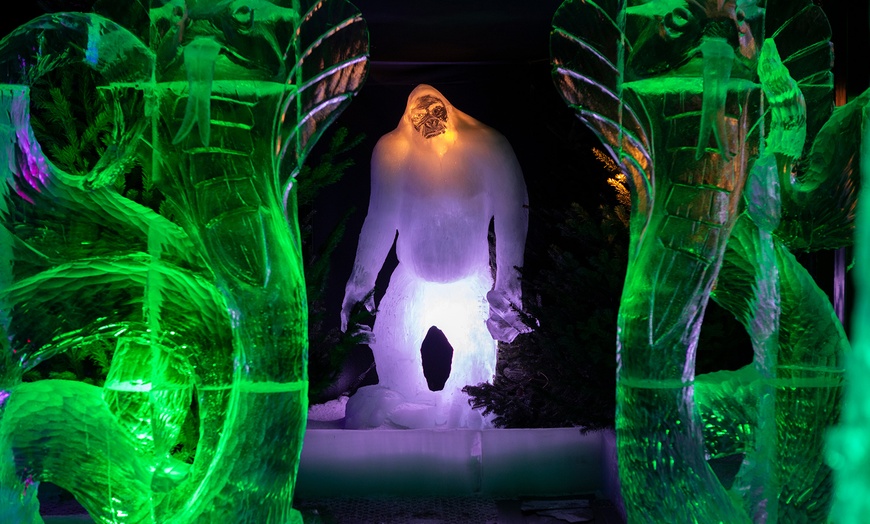 Image 1: Niederländisches Eisskulpturen-Festival in Biddinghuizen