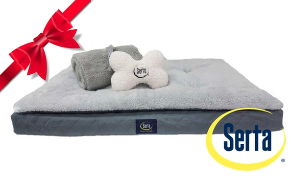 Dog bed discount and blanket set