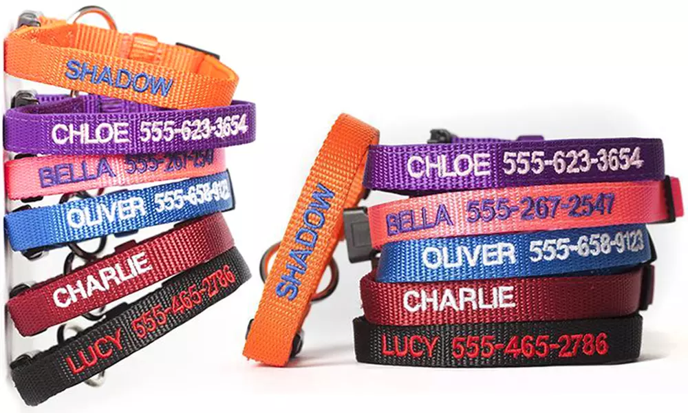 One, Two, Three, Five, or 10 Personalized Cat Collars from Qualtry (Up to 80% Off) - Primary Image