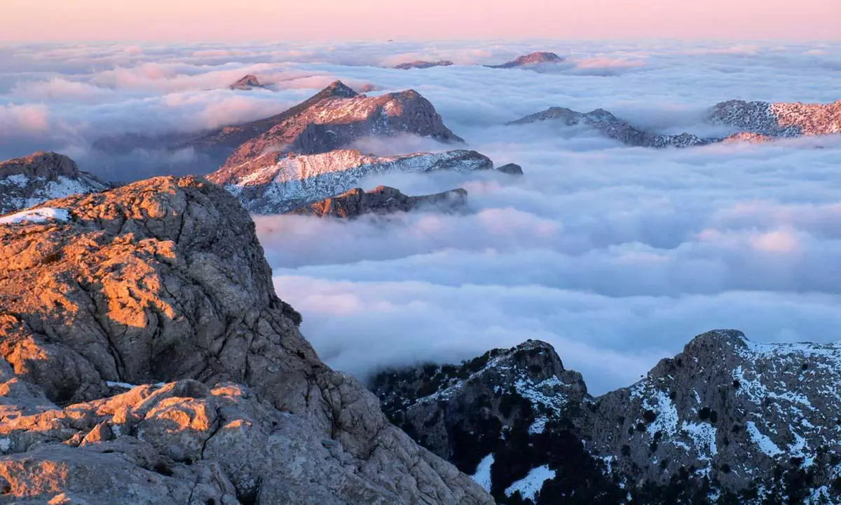 Mallorca: pase turístico de 5 días para 1 con autobús, guía, entradas y transporte desde el aeropuerto - Second Medium