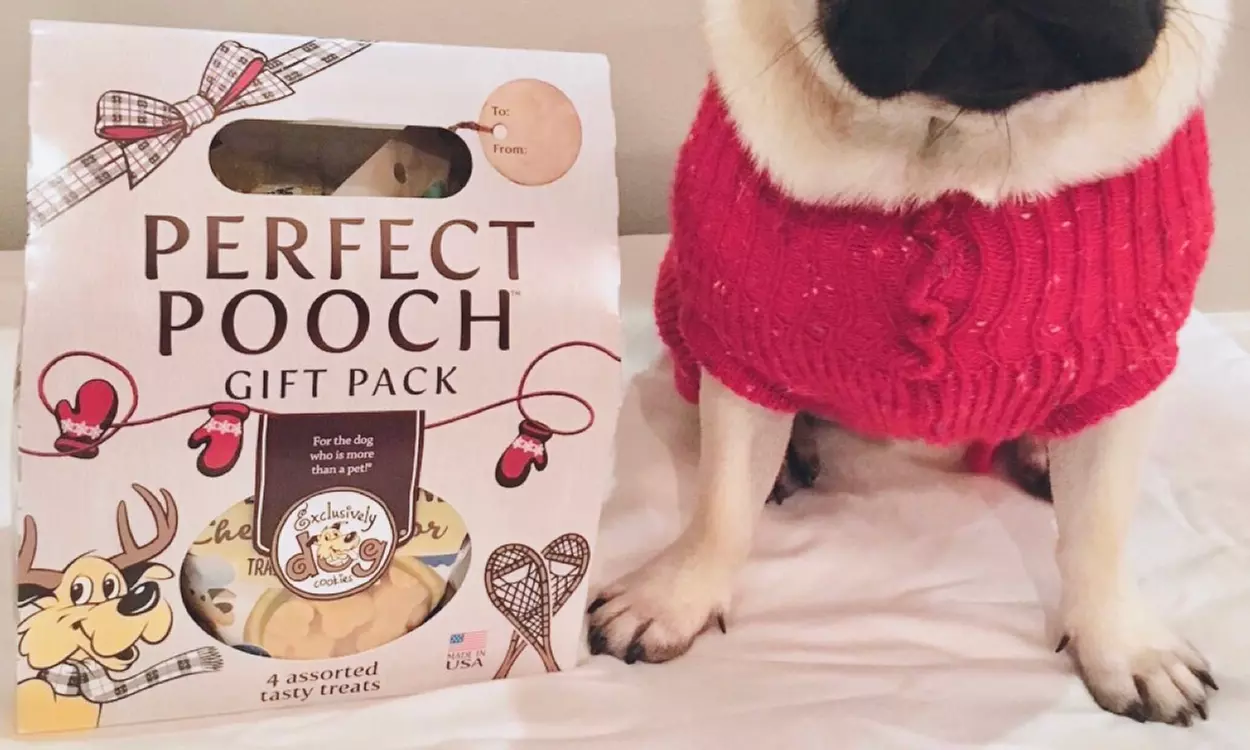 Exclusively Pet Perfect Pooch Dog-Cookie Gift Pack (4-Piece) - Primary Image