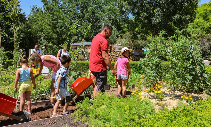 Image 11: Journée au parc Terra Botanica