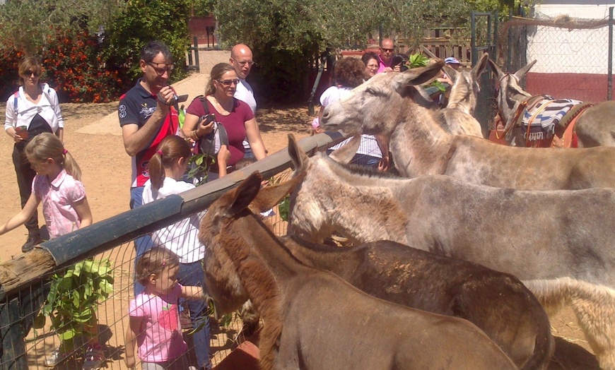 Image 2: Visita a granjaescuela