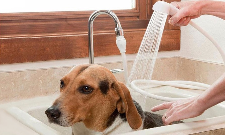 Image 2: Tap Fitting Shower Head and Hose