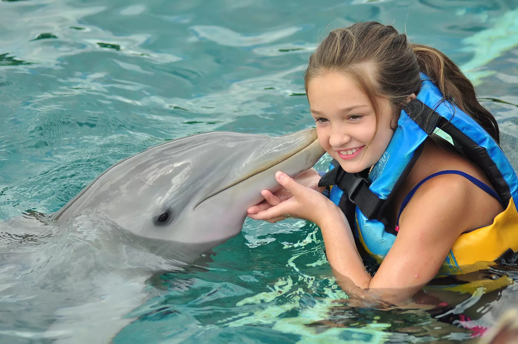 Dolphin Encounter, Catamaran & Snorkel Tour at Aquatours