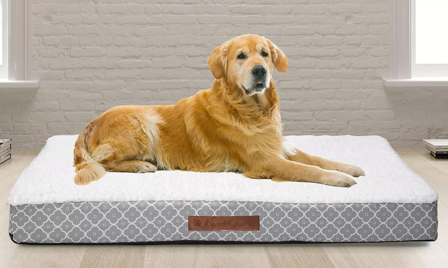 Wags and Whiskers Orthopedic Pet and Dog Bed - Primary Image