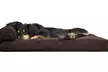 Furhaven Pet Chaise Lounge Sofa-Style Pillow Dog Bed - Second Medium