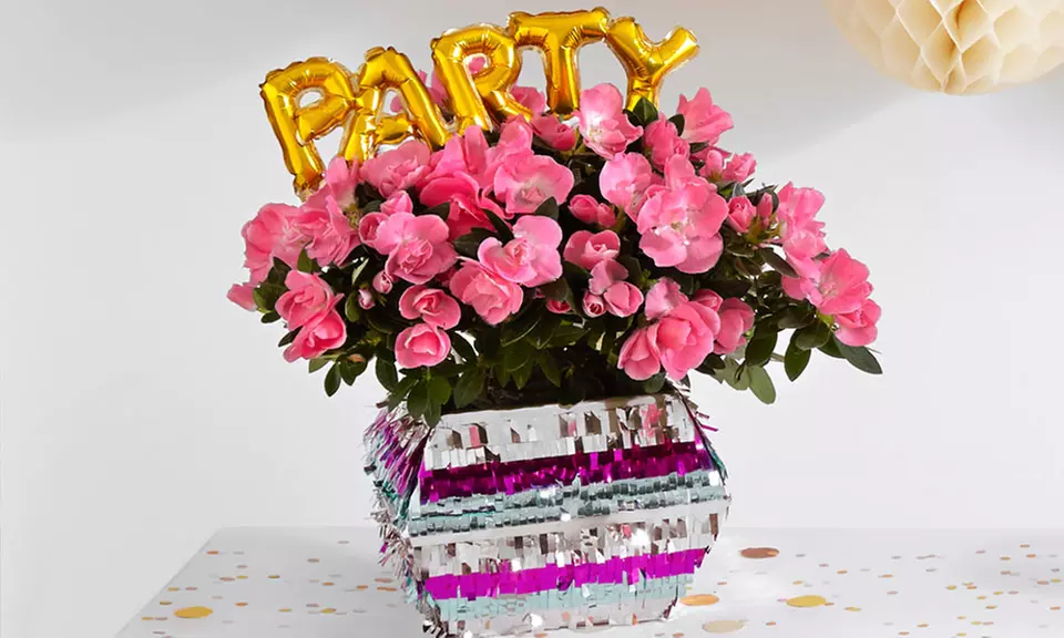 $15 for $30 Worth of Flowering and Potted Plants from ProPlants - Primary Image