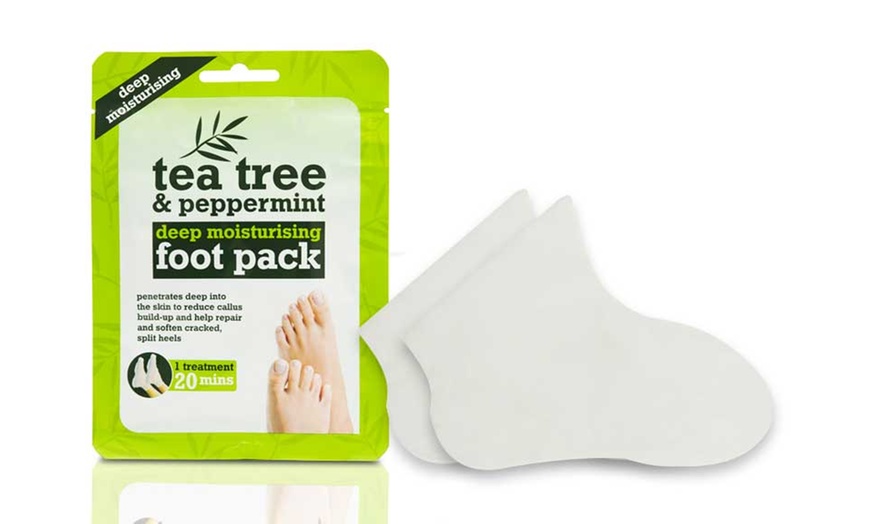 Image 2: Tea Tree and Peppermint Foot Pack