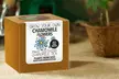 One or Two Grow Your Own Plant Kits: Chocolate Flowers, Arabica Coffee or Camomile Tea - Second Medium