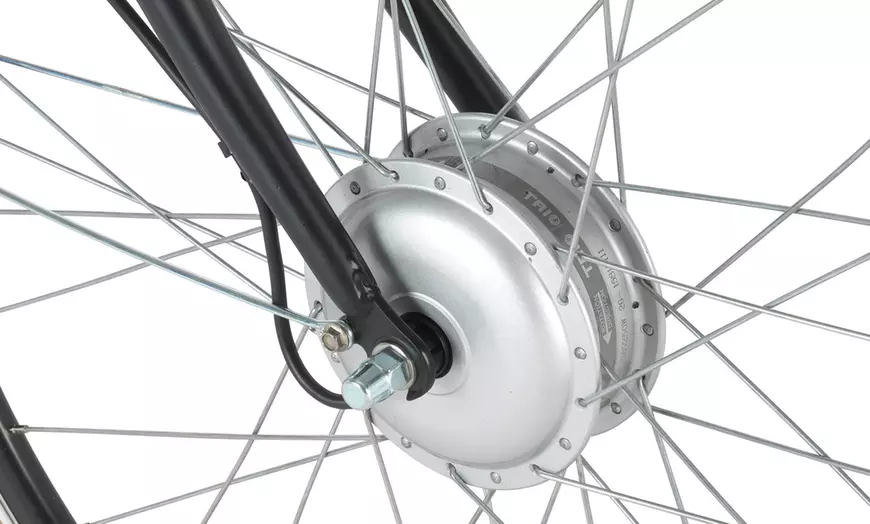 Image 4: Elektrische fiets Prophete Nostalgia