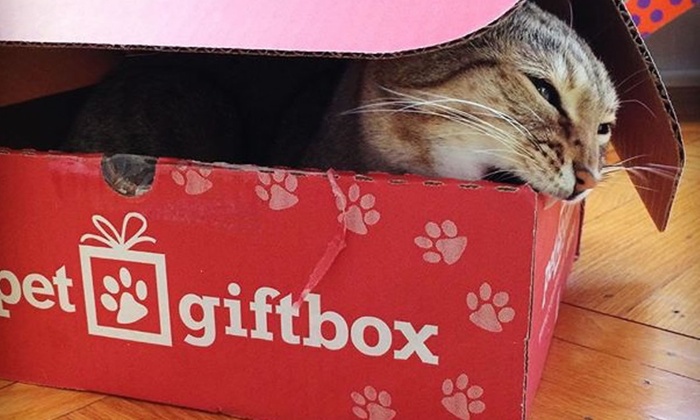 monthly pet gift box