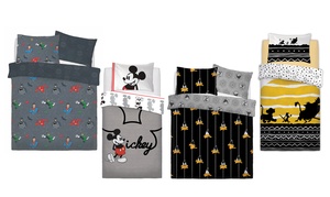  Disney and Warner Bros Duvet Set 