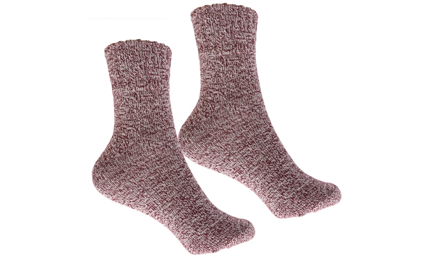 Image 6: Women's Winter Pastel Socks Five-Pack