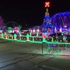 Image 3: Drive-Through Holiday Lights at Enchanted Light Festival 