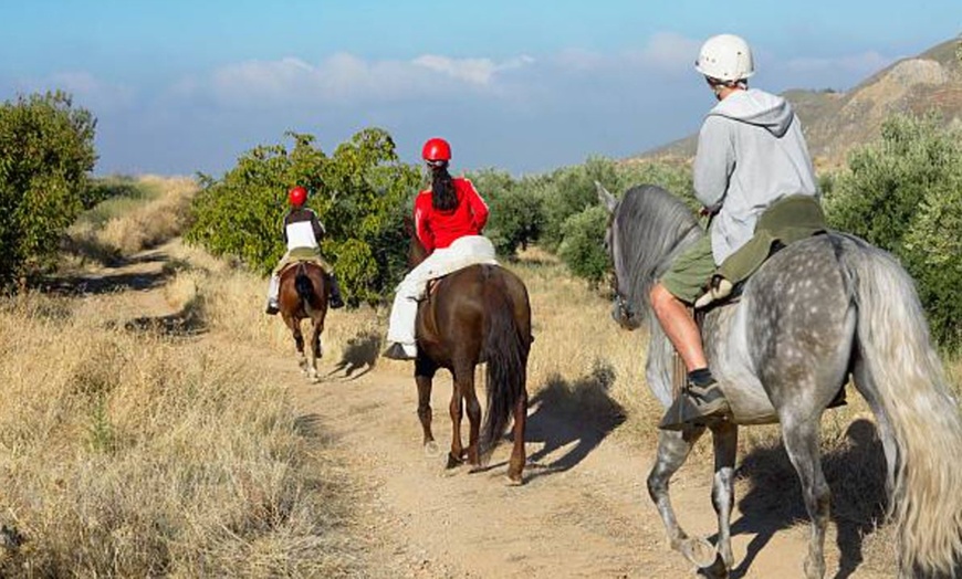 Image 8: Ruta a caballo con comida en plena naturaleza