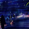 Image 10: Explore TeamLab Phenomena General Admission for Adults and Youths