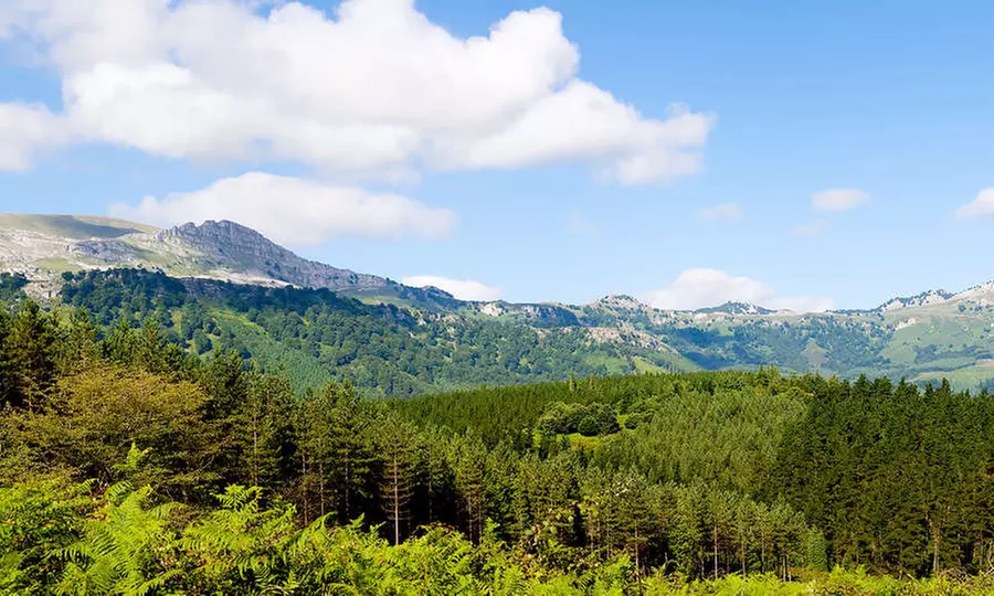 Areatza: 1, 2 o 3 noches con spa, desayuno, envoltura y masaje