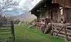 Holden/Marolt and Wheeler/Stallard Museums for Two or Four from Aspen Historical Society(Up to 50% Off)