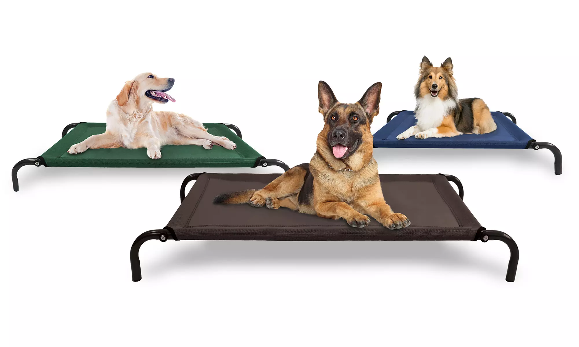 FurHaven Steel Frame Cot-Style Raised Pet Bed - Primary Image