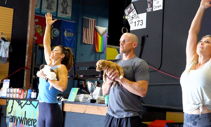 Image 3: Enjoy with One, Three or, Seven Puppy Yoga Classes - 60 Min 