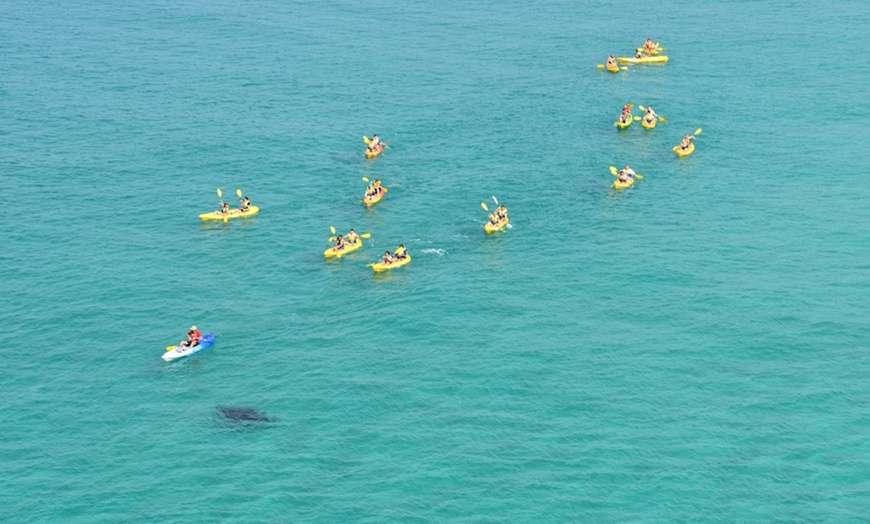 Image 15: Dolphin-View Kayak Tour or Private Day Tour to Double Island Point