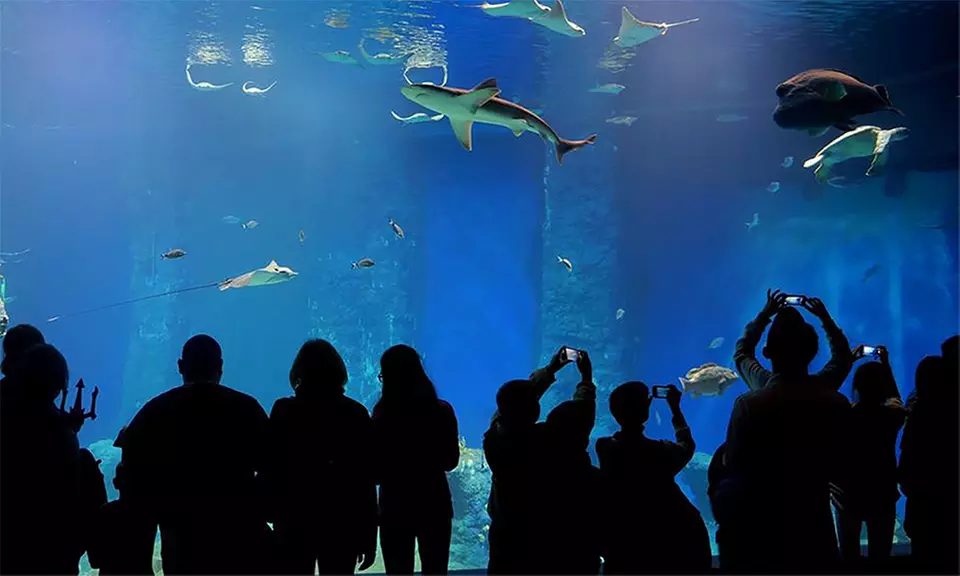 Bilet wstępu do ZOO Wrocław wraz z Afrykarium