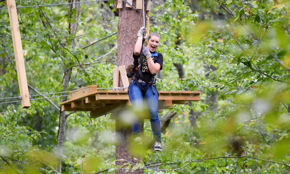 High Ropes Course for Two, Four, or Six People at Treetop Adventure (Up to 38% Off) - Primary Image