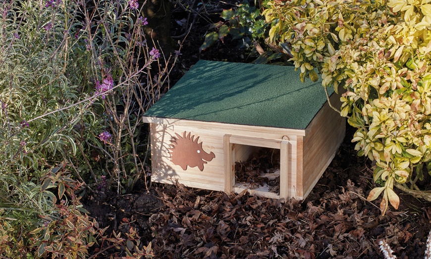 Image 2: Endangered Hedgehog House
