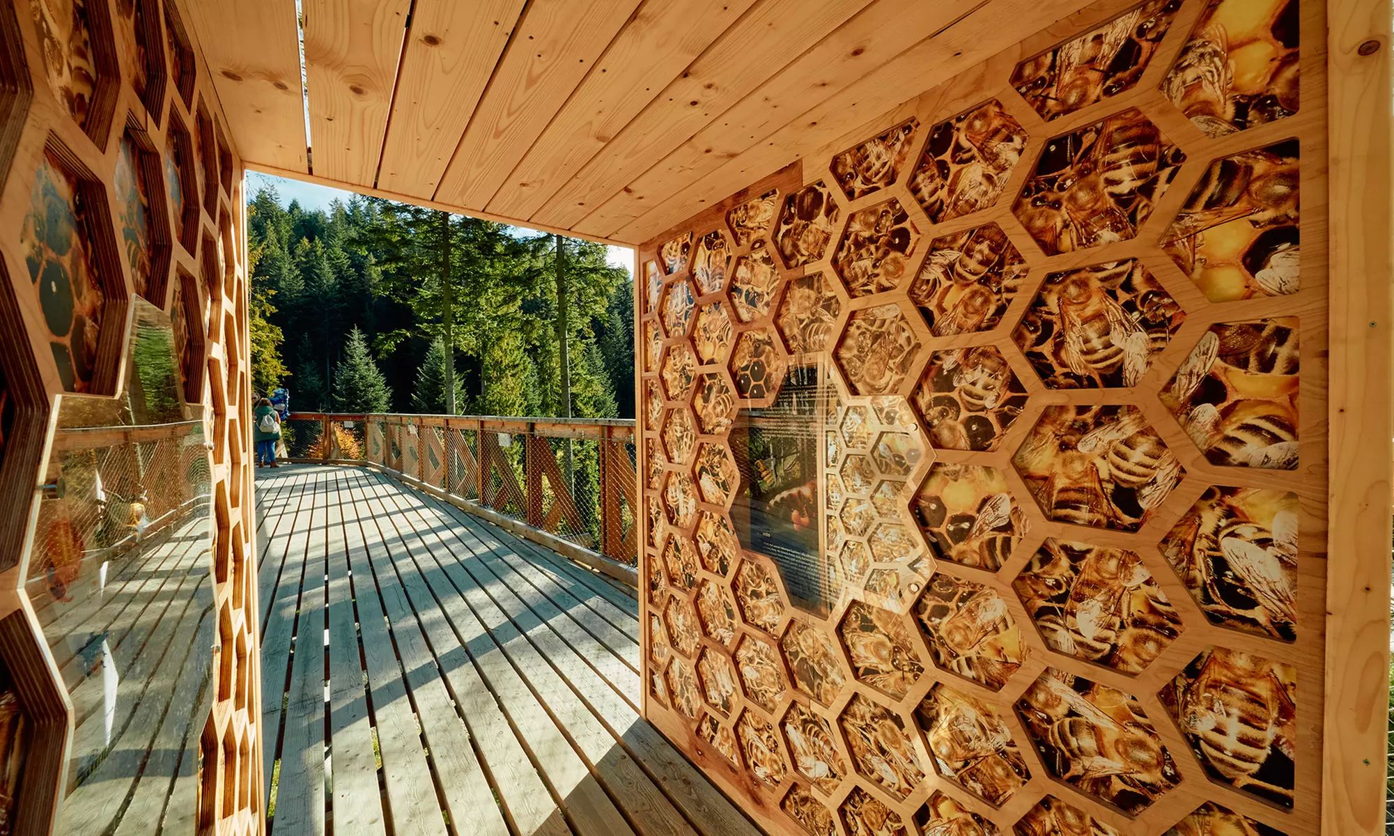 Odkryj magię natury w Centrum Przyrodniczo-Edukacyjnym Brama w Gorce