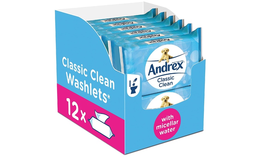 Image 3: Andrex Classic Clean Washlets