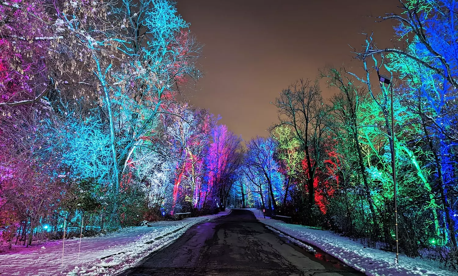 Winter Wonders (November 24-December 31) - Primary Image