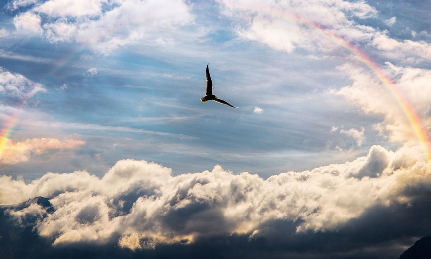 Image 1: Erstgespräch + Hypnosesitzung, optional inkl. Folgetermin für 1 Person