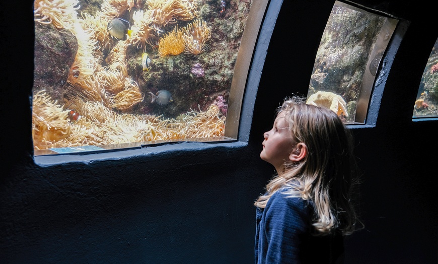 Image 6: Aquarium de Paris : la richesse du monde sous-marin tout l'année