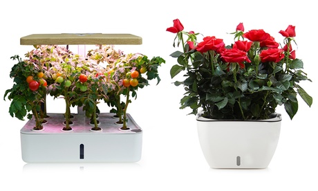 Serra o vaso auto innafiante disponibili in 5 modelli