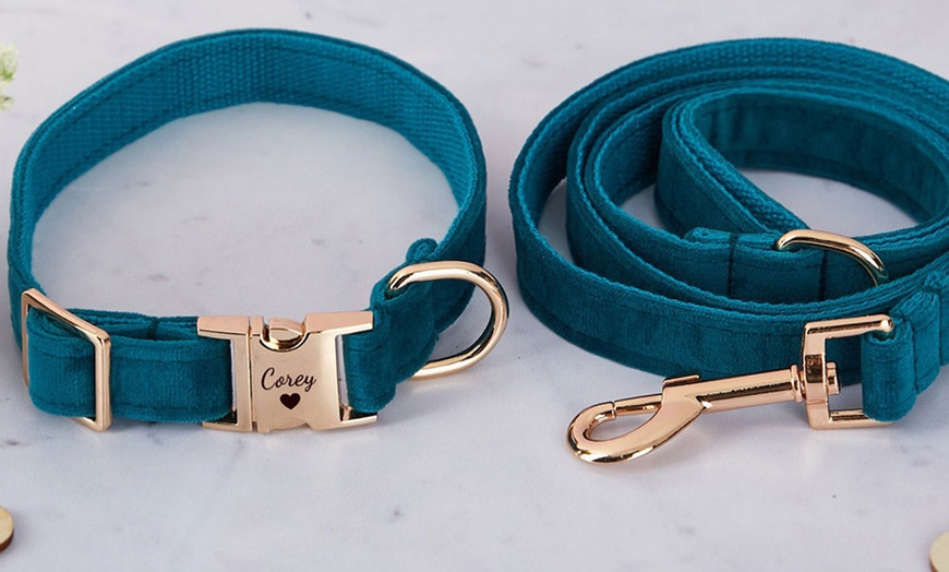 Image 2: One or Two Custom Pet Collars from Justyling