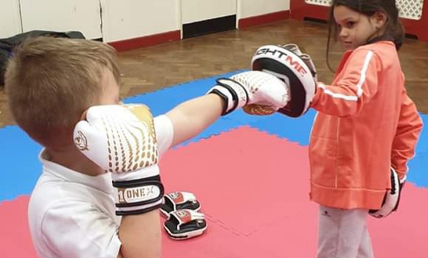 Image 3: Three Kickboxing Sessions