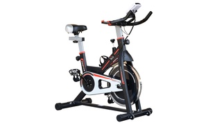  Flywheel Exercise Bike 