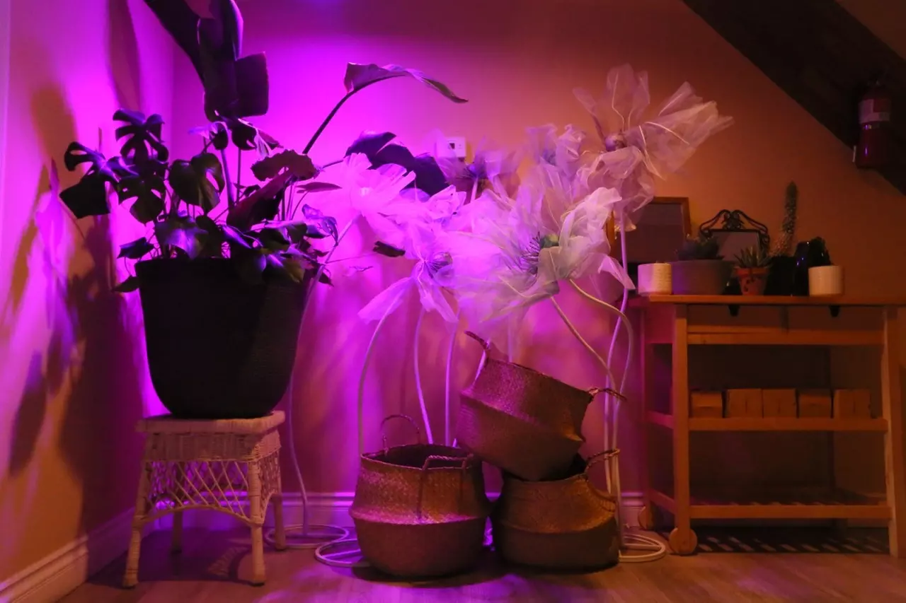 Up to 50% Off on Full Body Massage at KI Spa