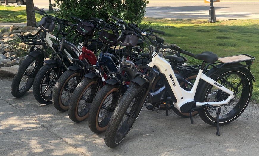 Image 2: Kids or Adult Full Day 8-Hour E-Bike Rental w/ Optional Child Carrier