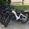 Image 2: Kids or Adult Full Day 8-Hour E-Bike Rental w/ Optional Child Carrier