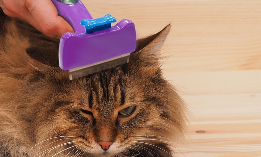 Image 1: Cat Hair Deshedding Tool