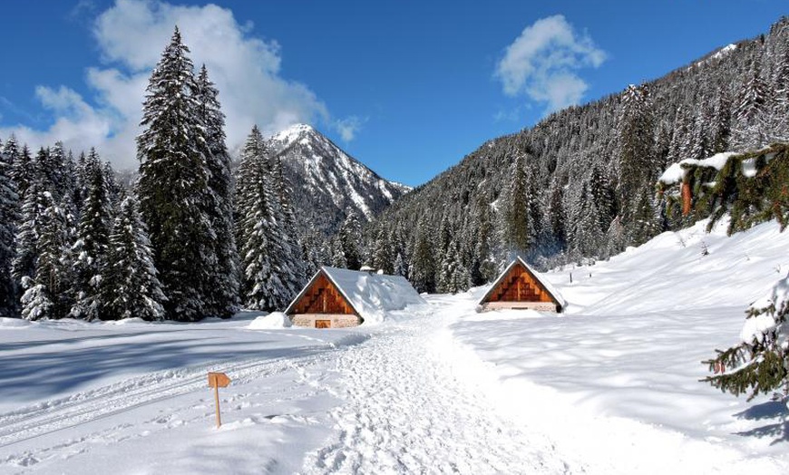 Image 2: parc du Mercantour : 2 nuits avec entrées au parc Alpha Loup 