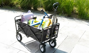  Heavy Duty Folding Trolley Wagon 