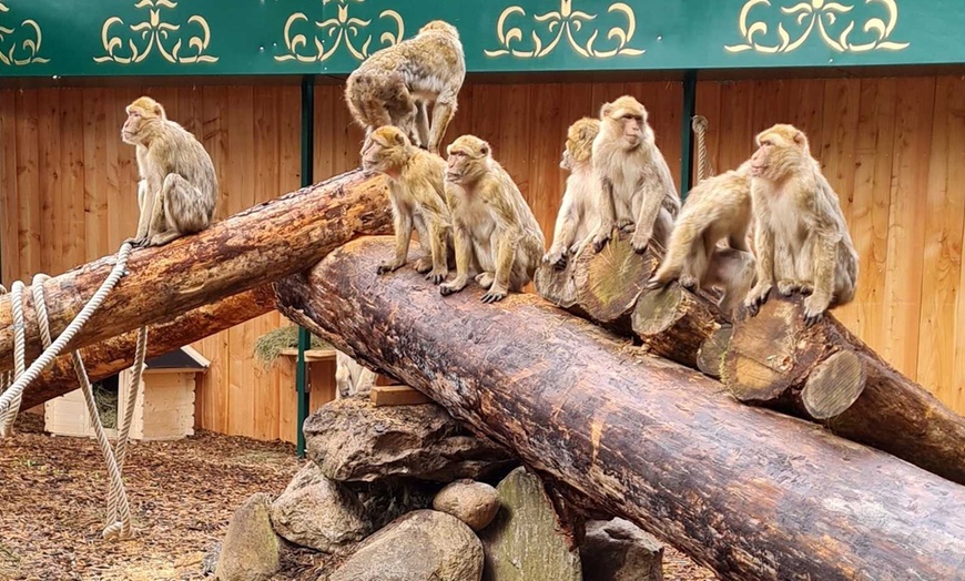 Image 4: Tages-Eintritt für den Magic Park Verden für 1 oder 2 Personen