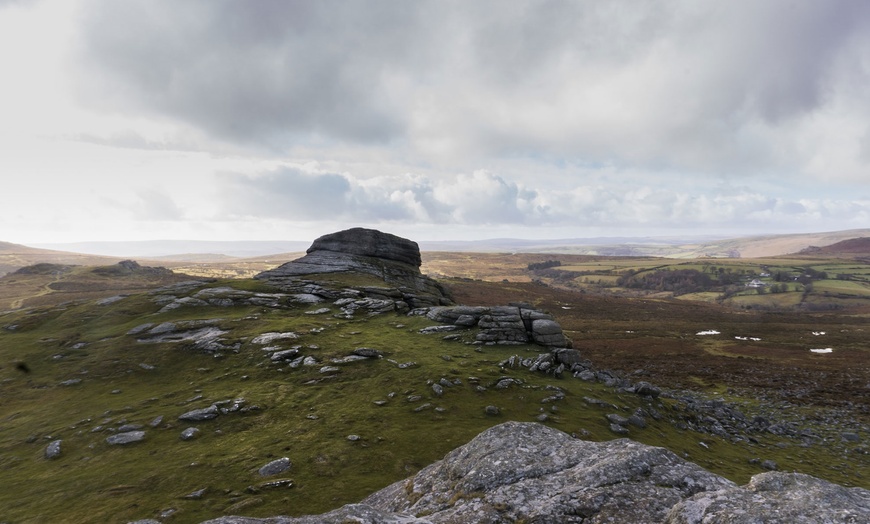 Image 8: Devon: Dog Friendly stay with Breakfast and Cream Tea