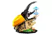 LEGO Ideas The Insect Collection 21342 - Image 3